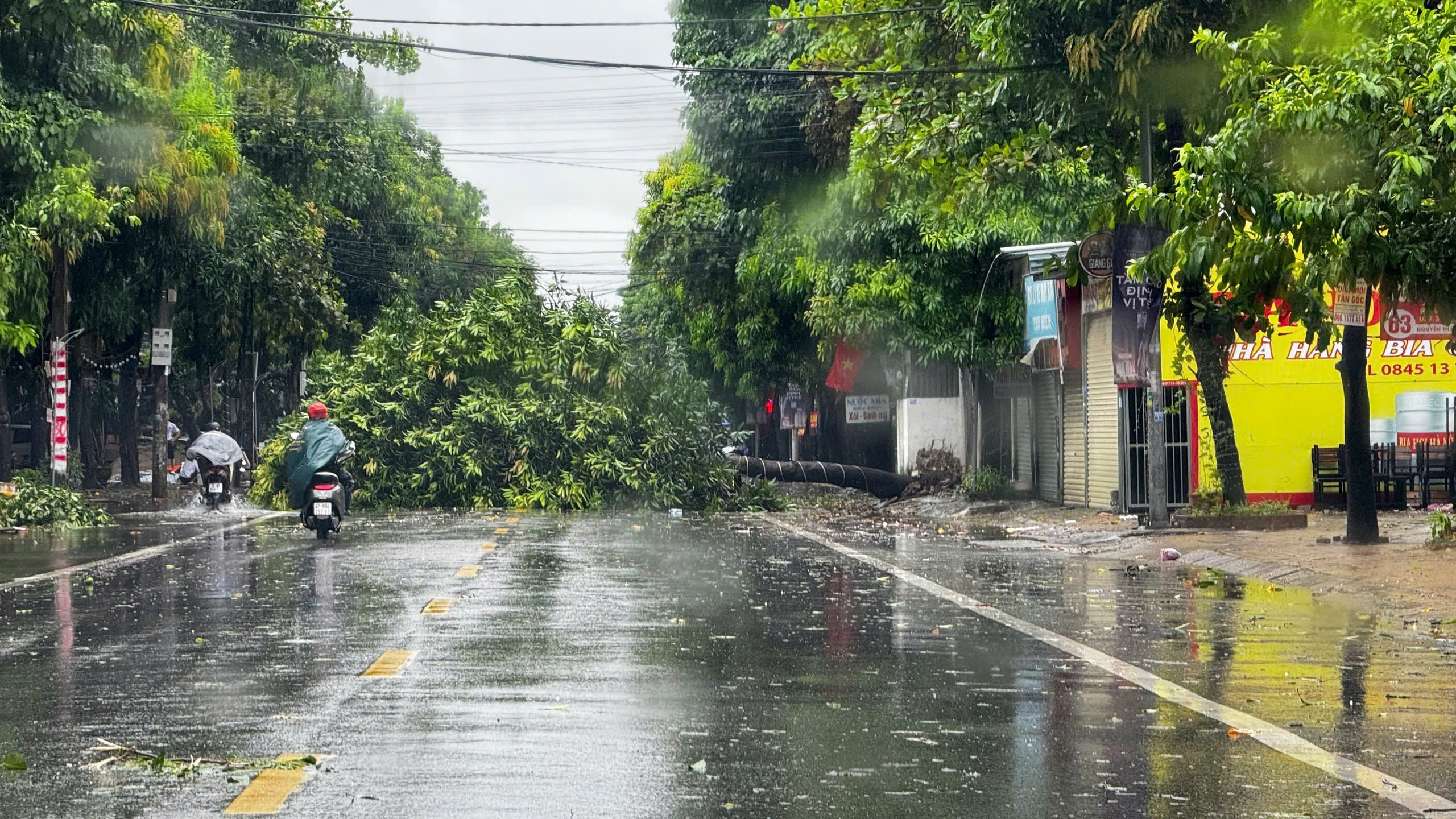 Trước giờ amp;#34;Gamp;#34; bão số 5 Kajiki đổ bộ, mưa trắng trời, cây đổ, gió giật mạnh - 6