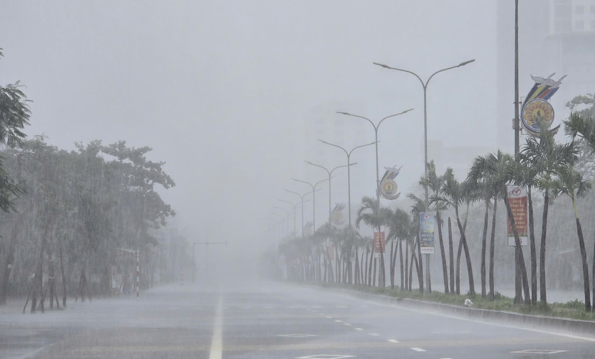 Trước giờ amp;#34;Gamp;#34; bão số 5 Kajiki đổ bộ, mưa trắng trời, cây đổ, gió giật mạnh - 10
