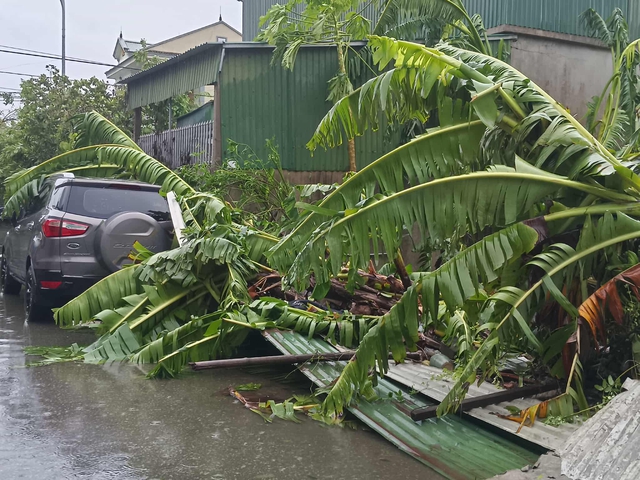 VIDEO: Tan hoang sau khi cuồng phong do bão số 5 quét qua - 5