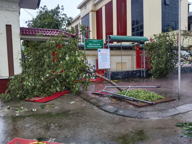 VIDEO: Tan hoang sau khi cuồng phong do bão số 5 quét qua - 9