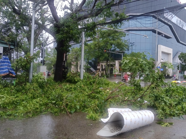 VIDEO: Tan hoang sau khi cuồng phong do bão số 5 quét qua - 11