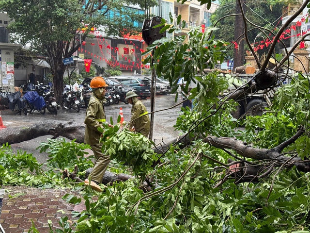 Công nhân môi trường phải di chuyển cành cây đổ, cắt tỉa tạo lối lưu thông.