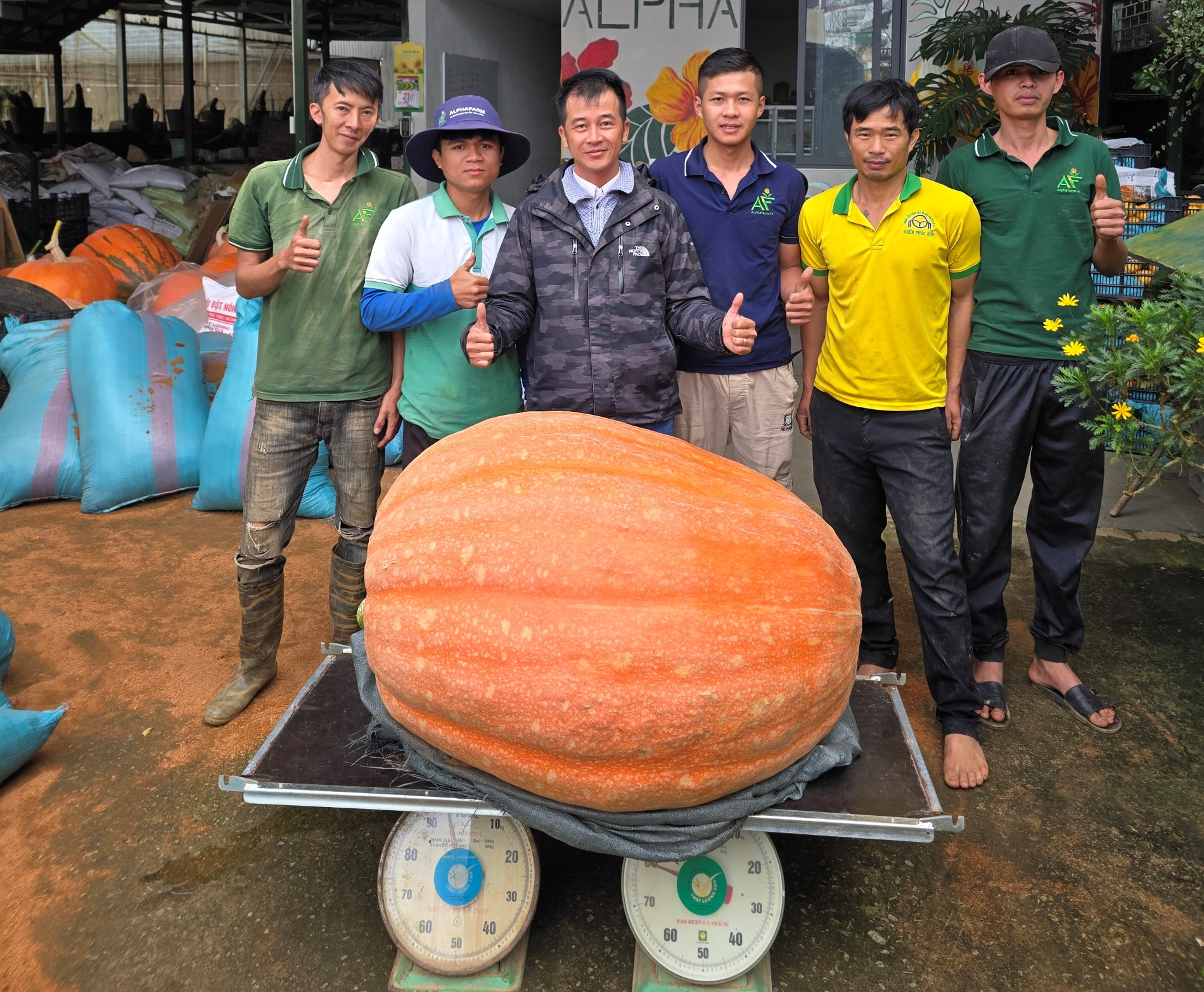 Quả bí là thành quả khiến anh Quang và nhân viên tự hào