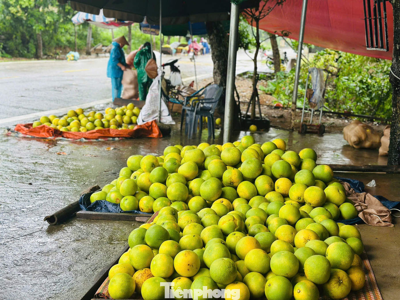 img src/upload/3-2025/images/2025-08-30/1756550109-tp-anh-khsls-width1390height1043.jpg width660 /
