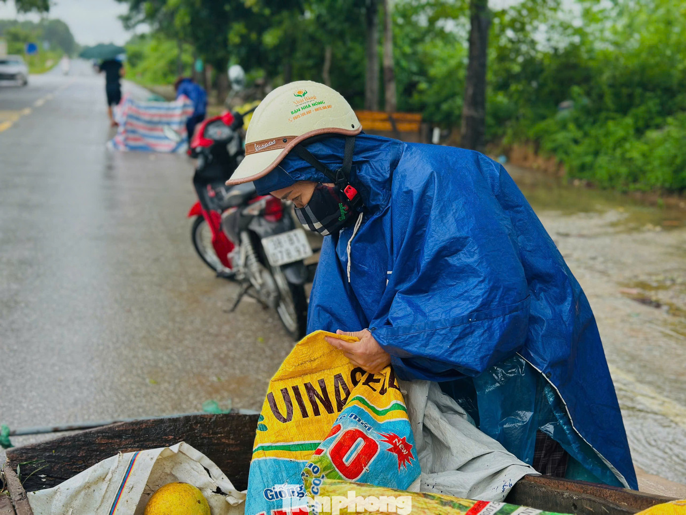 Bà Trần Thị Ngọ (58 tuổi, thôn Hương Yên, trước thuộc xã Lộc Yên, nay là xã Hương Đô cho biết), gia đình hiện có khoảng 3.000 quả cho thu hoạch, song mới bán được 1.000 quả, còn lại hơn 2.000 quả vẫn “kẹt” trong vườn. “Nước lên đến đâu là chúng tôi hái đến đó, chỉ mong rút nhanh để không bị ngâm úng làm hỏng quả và cây cũng bị ảnh hưởng”, bà Ngọ nói.