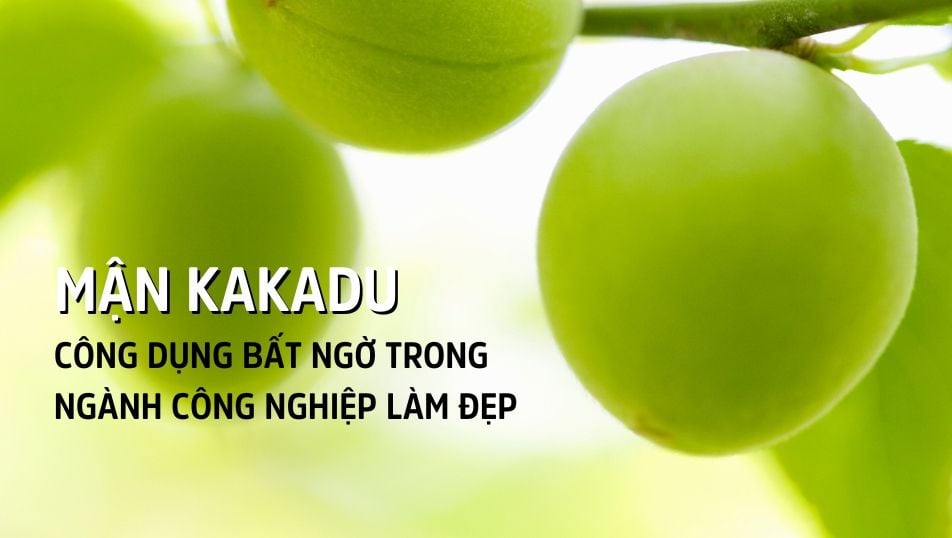 Mận giàu vitamin C.