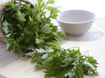 Ngải cứu – Bí quyết an thai hiệu quả mà không phải ai cũng biết