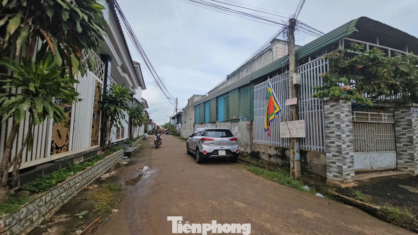 Tang thương bao trùm con hẻm