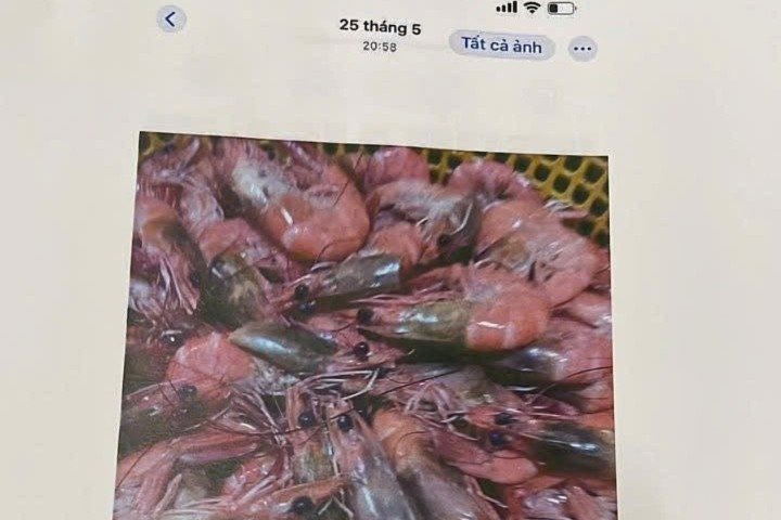 Thực phẩm không đạt được tổ bếp chụp lại.