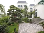 Nhà đẹp - Biệt thự 200 tỷ đại gia xây chỉ để lái xe và giúp việc ở