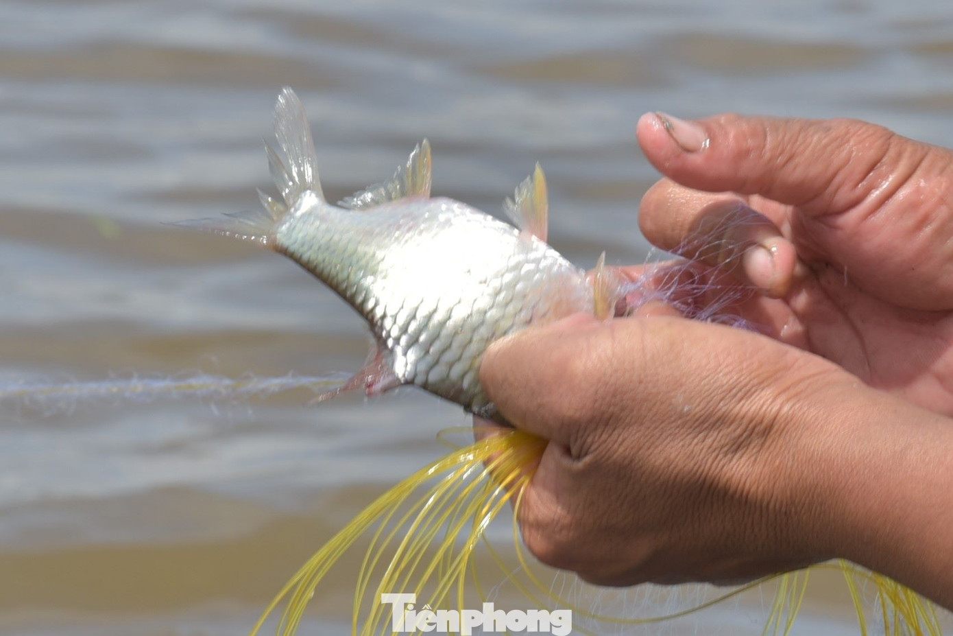 img src/upload/3-2025/images/2025-09-19/1758274975-anh-8-width1390height1043.jpg width660 /