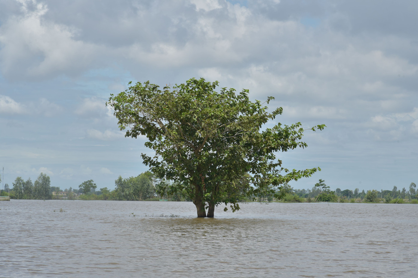 Mưu sinh trên đồng nước là một phần không thể thiếu trong đời sống của người dân đầu nguồn lũ Đồng Tháp nhiều đời qua.