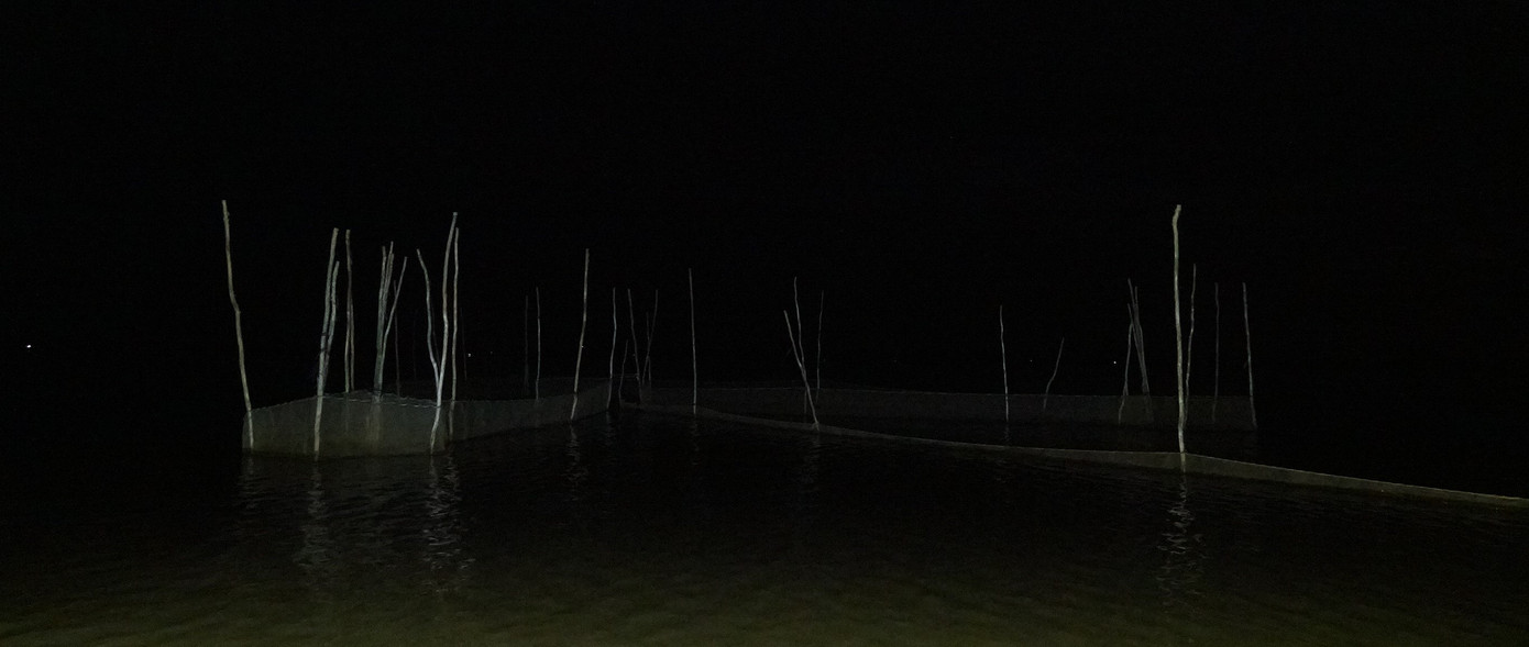 Đặt dớn trên đồng ở đầu nguồn lũ.