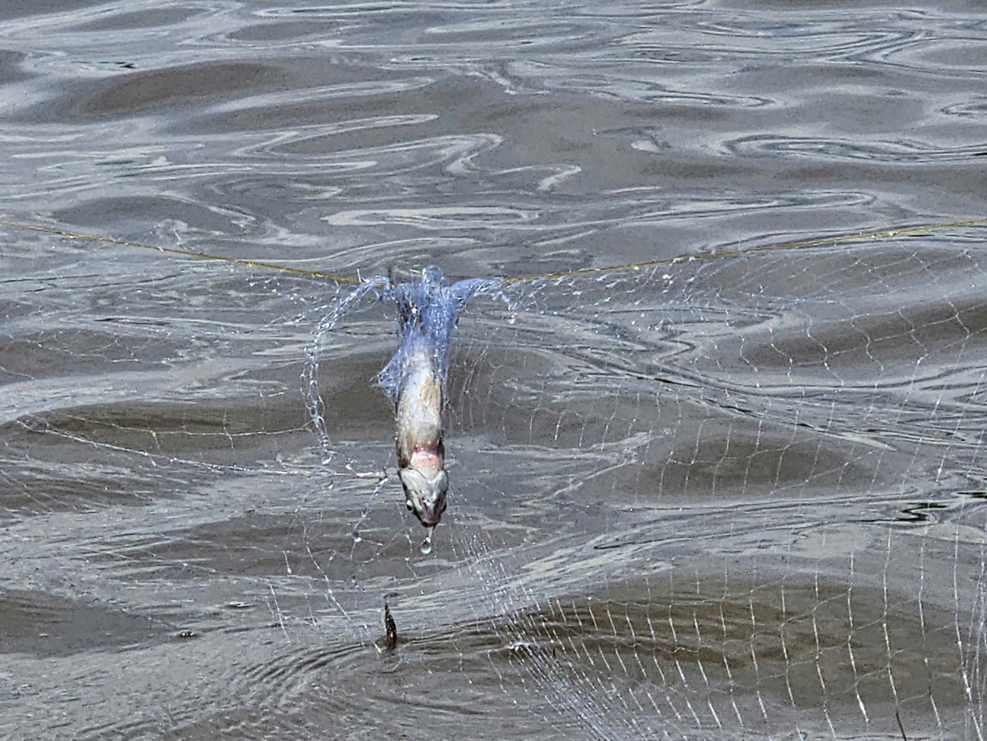 img src/upload/3-2025/images/2025-09-19/1758274975-tp-8-width1390height927.jpg width660 /