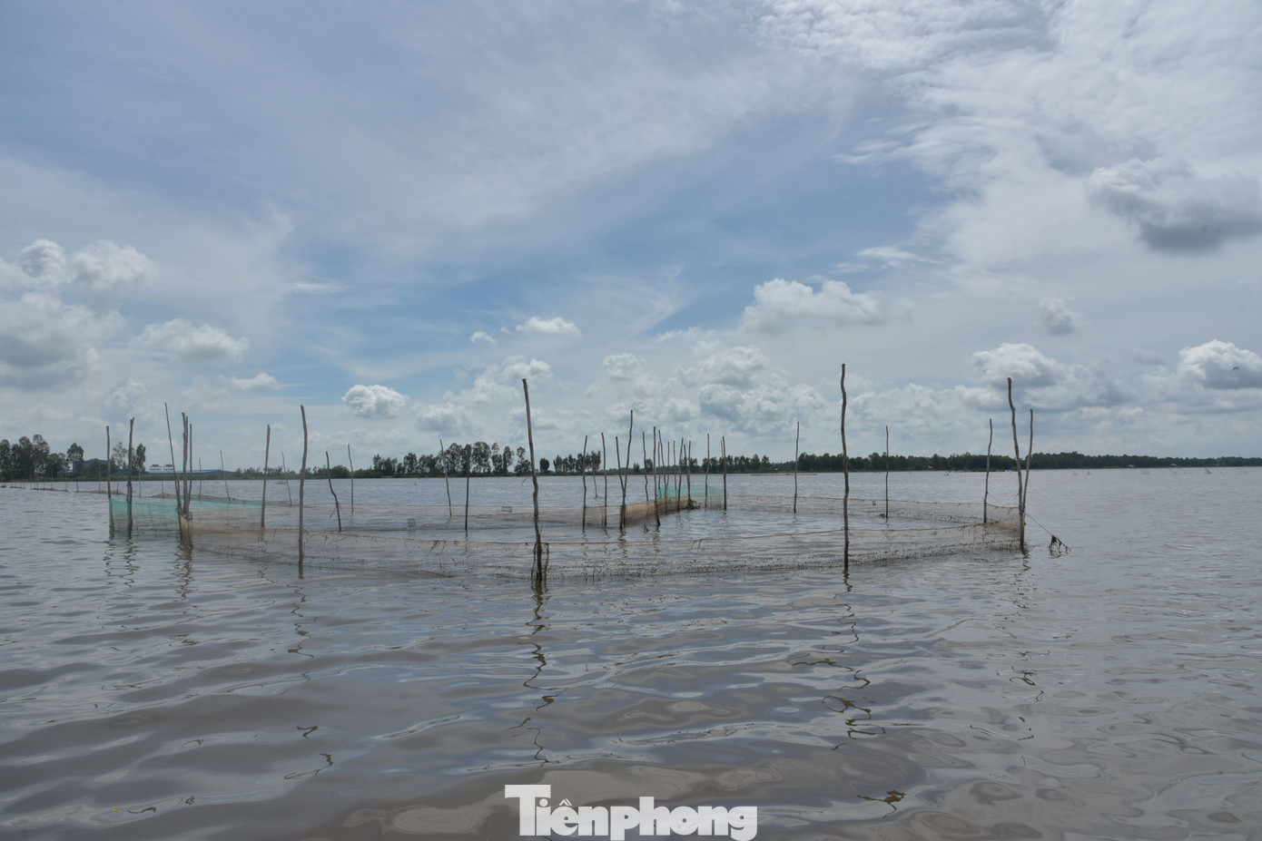 Trắng đêm săn amp;#34;lộc trờiamp;#34; mùa nước nổi - 10