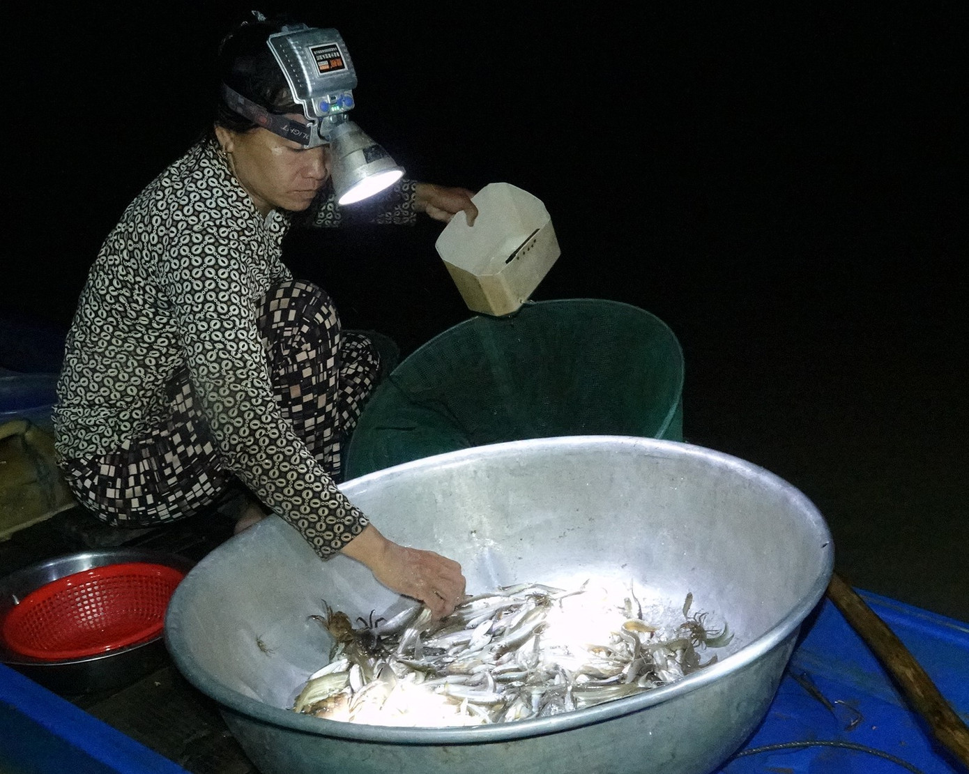 Mớ cá tôm thu được sau đêm đi dỡ dớn được người dân nhập cho thương lái vào phiên chợ sáng, rồi từ đây các loại tôm, cá đồng được đưa đi khắp nơi tiêu thụ.