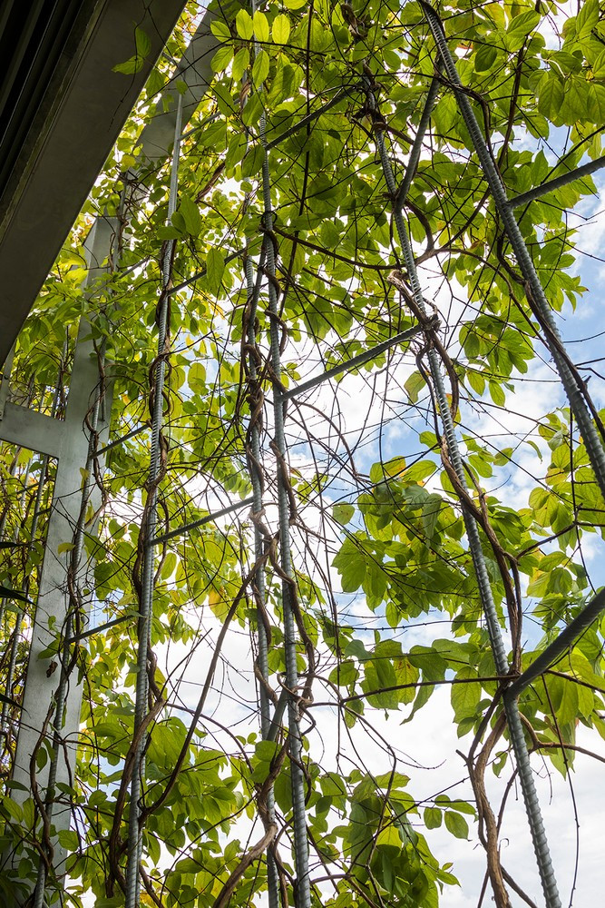 Ngôi nhà đặc biệt ở TP HCM, 4 lần đạt giải thưởng quốc tế - 6