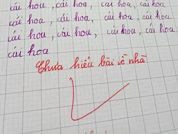 Bài tập 'Viết 29 chữ cái hoa' khiến phụ huynh khóc thét