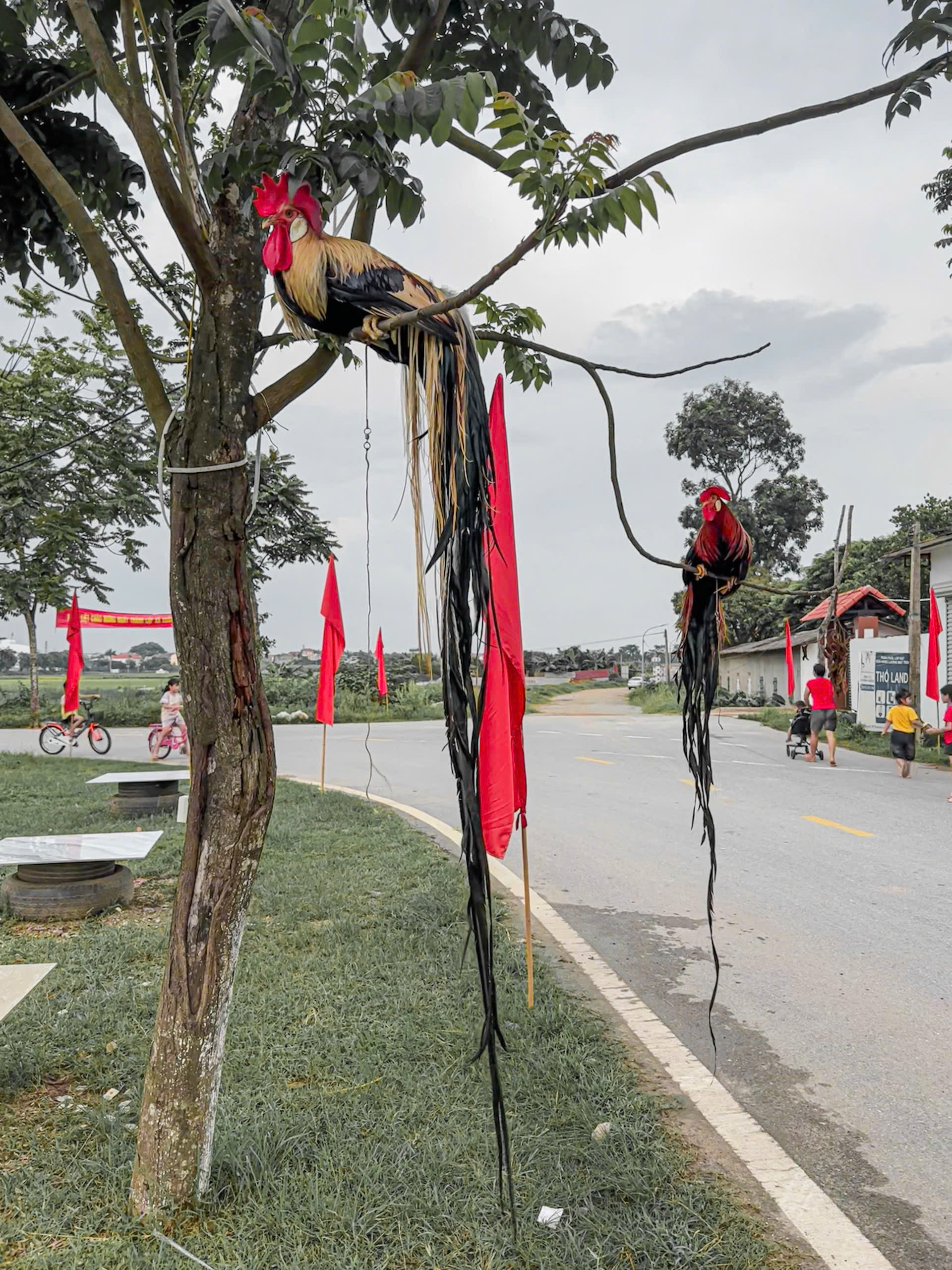 Chàng trai Phú Thọ nuôi thú cưng amp;#34;chân không chạm đấtamp;#34;, đuôi càng dài càng đắt - 8