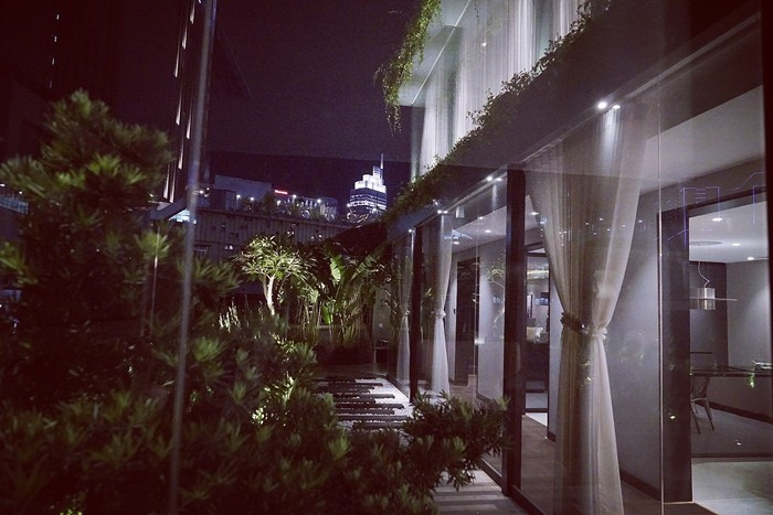 Không gian biệt thự rộng rãi, thoáng mát, trồng nhiều cây xanh. Ảnh: FBNV