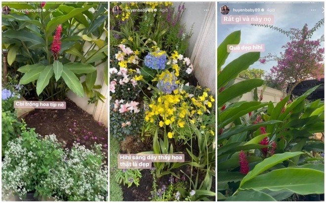 Khu vườn luôn được duy trì trong trạng thái ngập tràn sắc hoa. Ảnh: FBNV