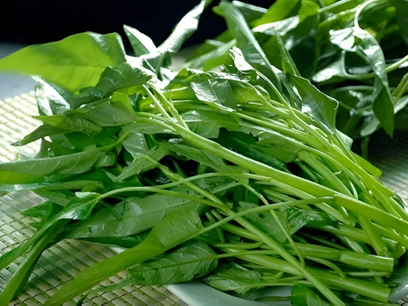 Rau muống là loại rau phổ biến trong bữa cơm người Việt, nổi bật với khả năng sinh trưởng nhanh và ít bị sâu bệnh phá hoại. Nhờ đặc điểm này, người trồng ít phải sử dụng thuốc bảo vệ thực vật, đặc biệt khi trồng theo phương pháp thủy canh hoặc rau muống hạt. 
