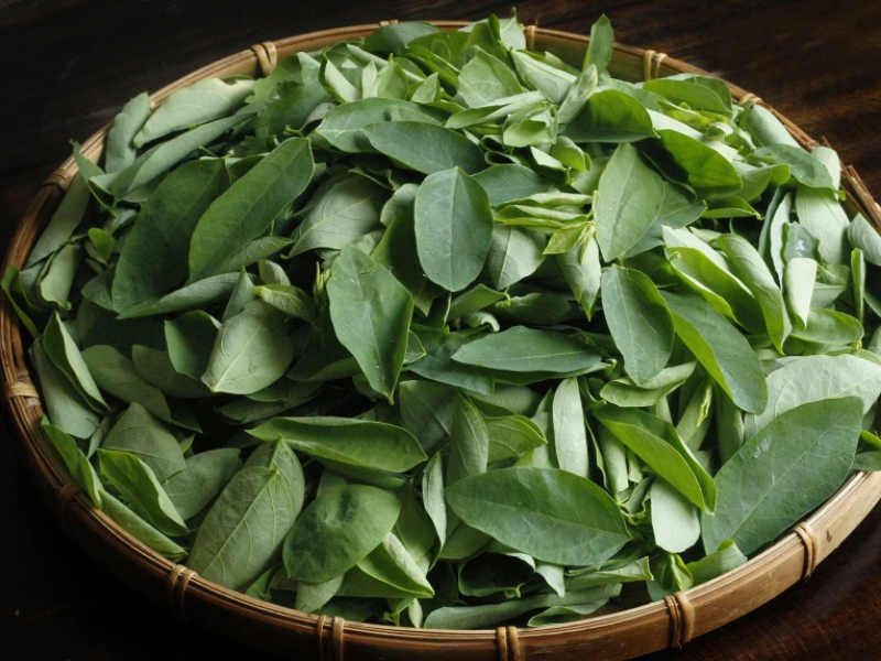 Rau ngót chứa nhiều vitamin C, B1, B2 và chất xơ giúp tăng sức đề kháng, hỗ trợ tiêu hóa, đồng thời có khả năng kháng viêm và chống oxy hóa mạnh. Với đặc tính mát, rau ngót còn giúp thanh nhiệt, giải độc cơ thể, rất tốt cho làn da và hệ miễn dịch. 
