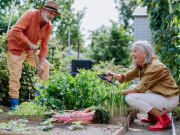 Sức khỏe - Không phải tập thể dục, các chuyên gia cho biết hầu hết những người sống đến 100 tuổi đều có chung sở thích này