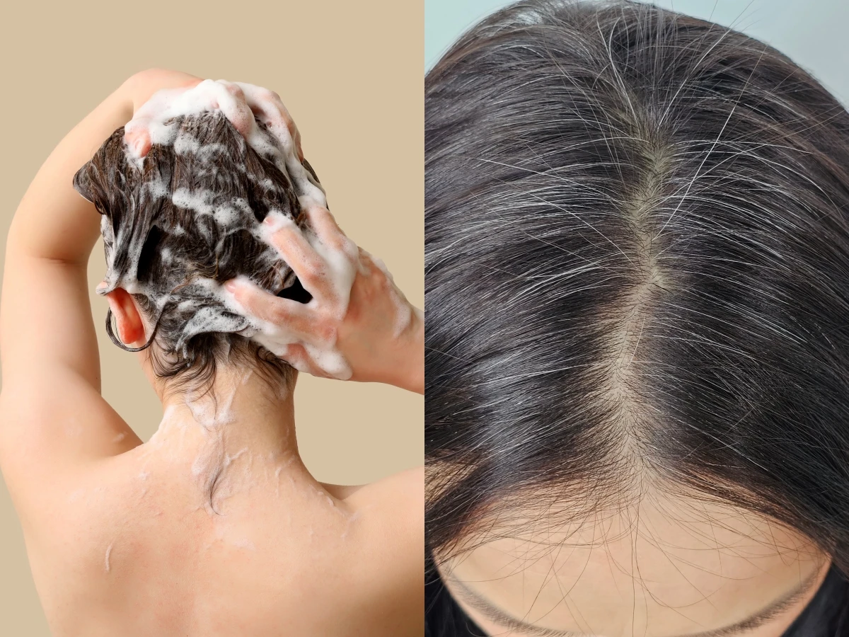Gội đầu vào buổi sáng và các bước gội đầu không đúng có thể khiến tóc dễ tổn thương hơn và nhanh bạc tóc.