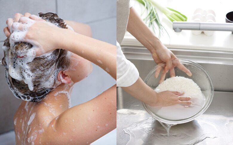 Gội đầu bằng nước vo gạo giúp tóc mỏng trở nên dày hơn.