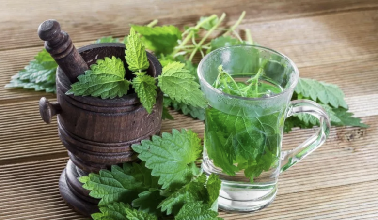 Loại lá gia vị nhỏ xíu có khả năng chống rụng tóc mạnh mẽ, dưỡng chân tóc chắc khỏe, khiến gàu lâu năm cũng biến mất - 4