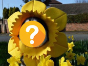 Lifestyle - Loài chó nổi danh “ngáo” vì biểu cảm quá hài hước viral khắp MXH nhưng hóa ra rất thông minh, từng cứu cả một thị trấn