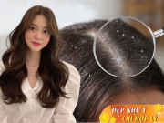 Đẹp - Loại lá gia vị nhỏ xíu có khả năng chống rụng tóc mạnh mẽ, dưỡng chân tóc chắc khỏe, khiến gàu lâu năm cũng biến mất