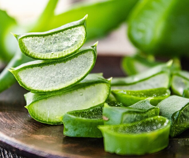 Nha đam giúp se khít lỗ chân lông, ngăn ngừa mụn trứng cá và cấp ẩm cho da.