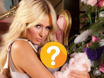 Loài vật luôn bị người Việt cho là ngu ngốc hóa ra thuộc top thông minh nhất thế giới, nay được giới nhà giàu cưng như trứng