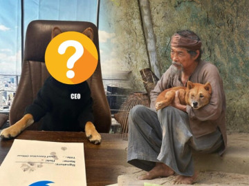 Loài chó là báu vật quốc gia, viral khắp thế giới vì khuôn mặt hay cười, giúp tỷ phủ kiếm bộn tiền nhờ một bức ảnh