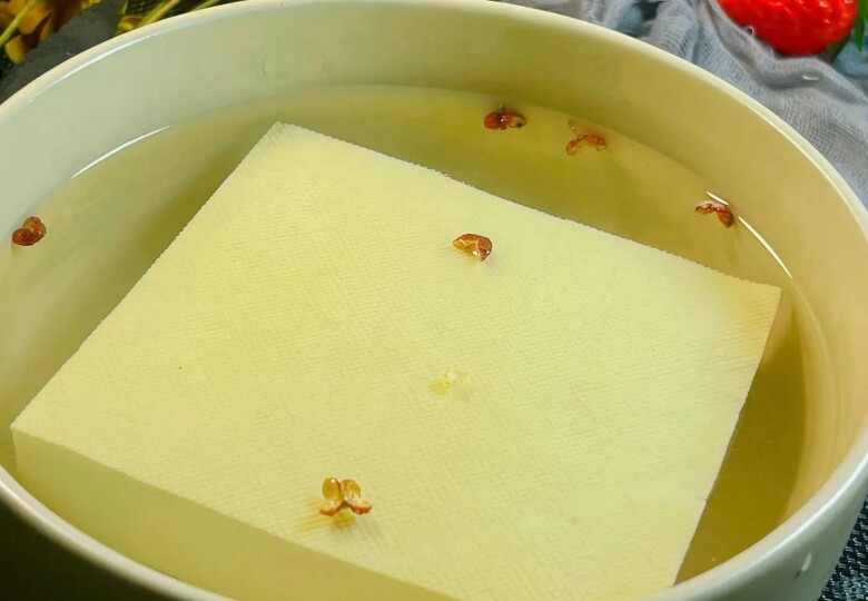 Bảo quản đậu phụ không nên cho thẳng vào tủ lạnh, nhớ thêm 2 mẹo này đậu để 10 ngày vẫn tươi ngon - 3
