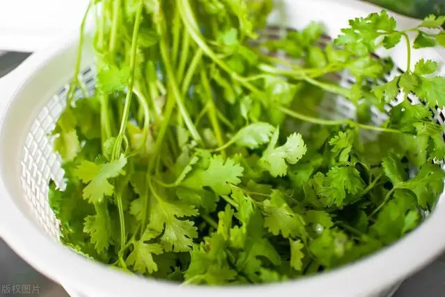 Bảo quản rau mùi trong tủ lạnh là sai, đầu bếp nhà hàng chỉ bạn một mẹo, giữ rau thơm tươi được lâu - 2