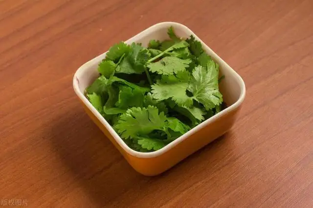 Bảo quản rau mùi trong tủ lạnh là sai, đầu bếp nhà hàng chỉ bạn một mẹo, giữ rau thơm tươi được lâu - 3