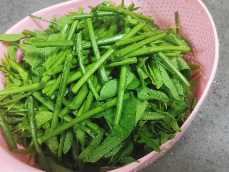 Cây này trồng chỉ lấy lá, vitamin C gấp 45 lần rau thường, đem xào thịt rất ngon - 5
