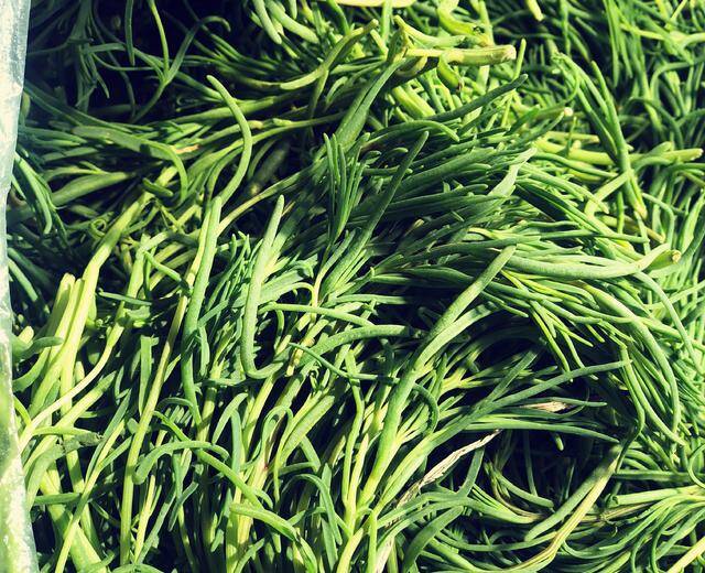 Cây thường bị nhầm là hoa mười giờ, nước ta vứt cho lợn ăn không ngờ là rau quý, đem làm được nhiều món ngon - 1
