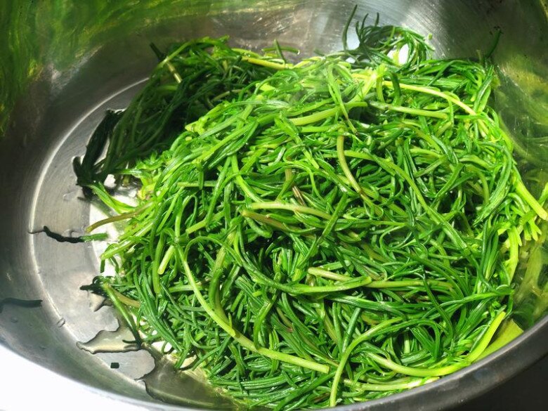 Cây thường bị nhầm là hoa mười giờ, nước ta vứt cho lợn ăn không ngờ là rau quý, đem làm được nhiều món ngon - 3