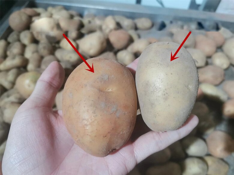 Mua khoai tây đừng chỉ dựa vào kích thước, hãy phân biệt “khoai bở và khoai giòn”, chọn đúng loại, món ăn mới chuẩn vị thơm ngon - 4
