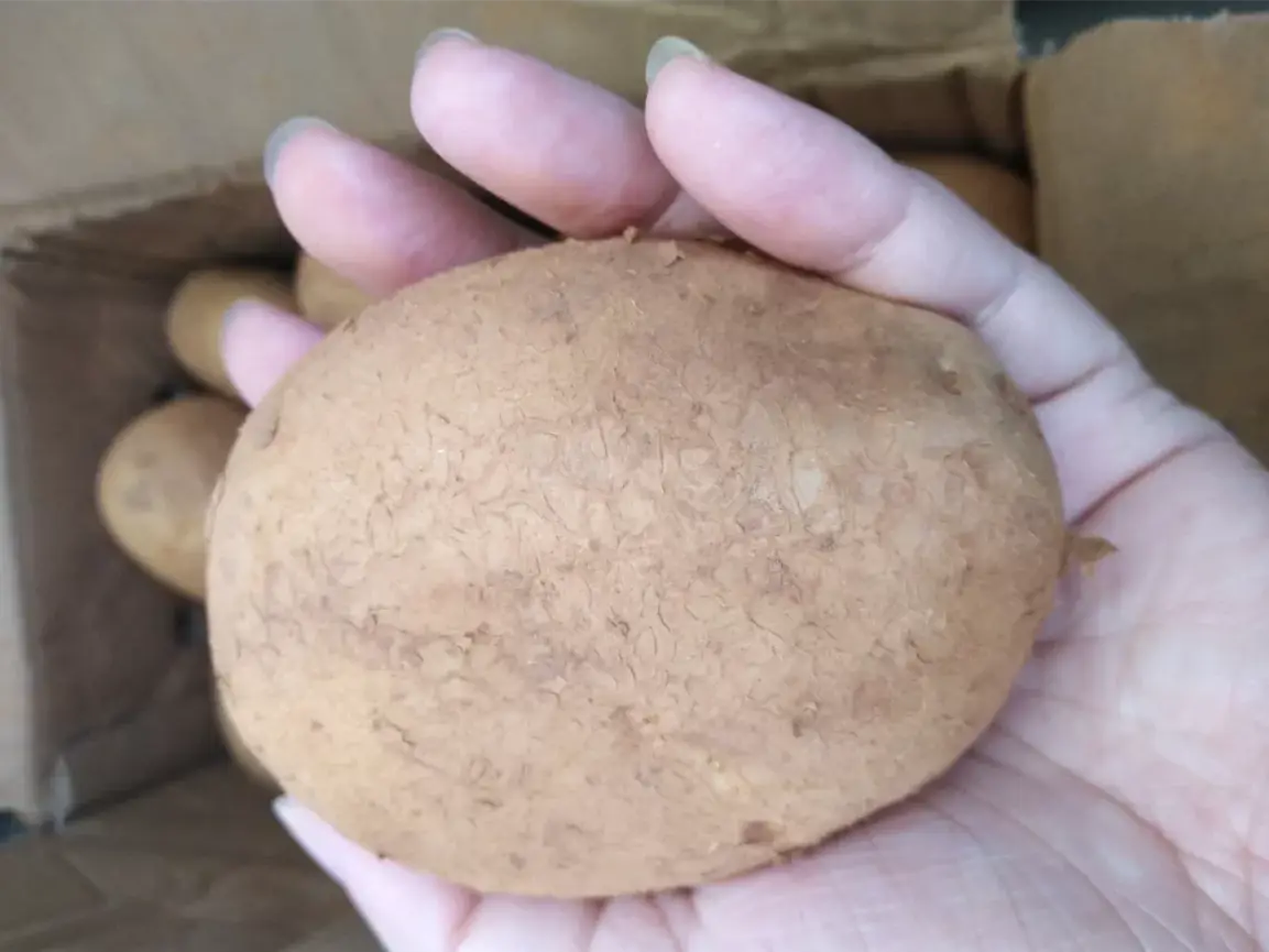Tham khảo thêm cách gọt vỏ khoai tây không cần dao bào.