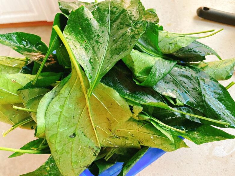 Lá này canxi gấp 2 lần sữa, nấu canh rất ngon, giúp bổ tỳ, tiêu sưng nhưng quá ít người biết ăn thật tiếc - 7