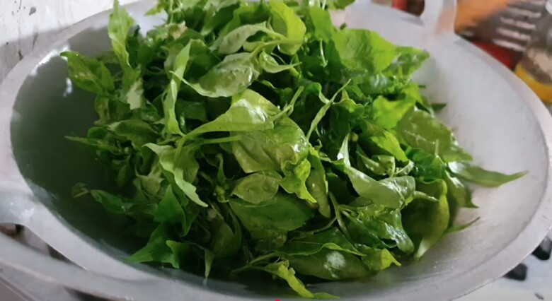 Lá này là “ngân hàng canxi”, bổ mắt dưỡng gan mà nhiều người chỉ lấy quả, bỏ lá - 4