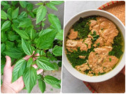 Bếp Eva - Cây rẻ tiền nấu lên nhớt nhớt nhưng bổ ngang nhân sâm, tiếc là ít người biết ăn nó