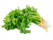 Bếp Eva - Bảo quản rau mùi trong tủ lạnh là sai lầm, đầu bếp nhà hàng hướng dẫn 1 mẹo để giữ rau tươi lâu, thơm như mới hái