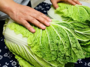 Bếp Eva - Bảo quản cải thảo ở chung cư, đừng đặt trực tiếp xuống đất, dưới đây là 2 bước đơn giản để giữ rau tươi ngon lâu ngày không bị hỏng