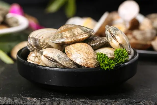Mua ngao về nhiều cát, ngư dân kinh nghiệm 10 năm mách mẹo này 5 phút là ngao sạch sẽ chẳng cần cầu kỳ - 2